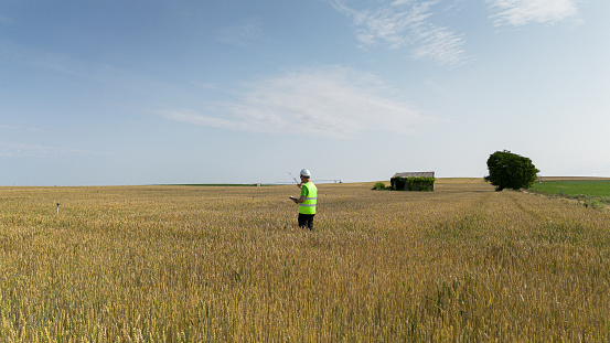 In a large cereal field on a blue sky day, an agricultural engineer dressed in safety clothing, helmet and reflective vest, inspects the quality of the cereal, holding a graphic tablet and a sample of the cereal in his hands.