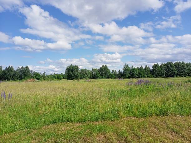 istock Nature. The Field and the Sky 1513340171