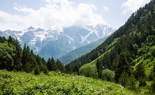 Summer landscape - an alpine valley with green grass and trees on the slopes and high mountain peaks with snow and glaciers on a sunny clear day