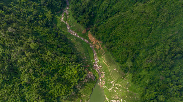 istock Aerial view tropical green forest and river with mountains in background, Green tree forest view from above river and forest. 1513382782