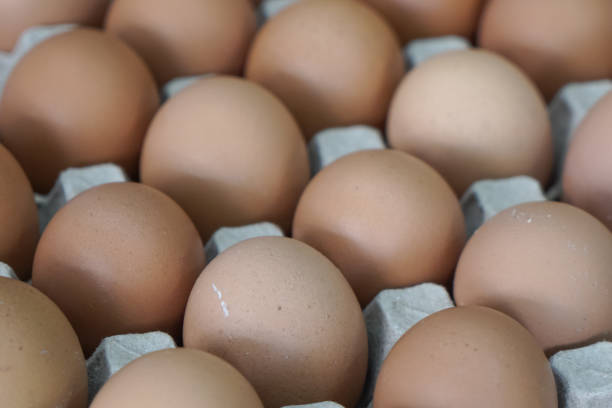 istock A pallet of egg 1513441980