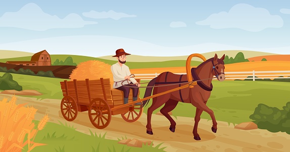 Rustic horse vehicles. Farmer on horse-drawn cart agriculture village background, working horses old wagon carriage, wild west history ingenious vector illustration of rustic farmer transportation