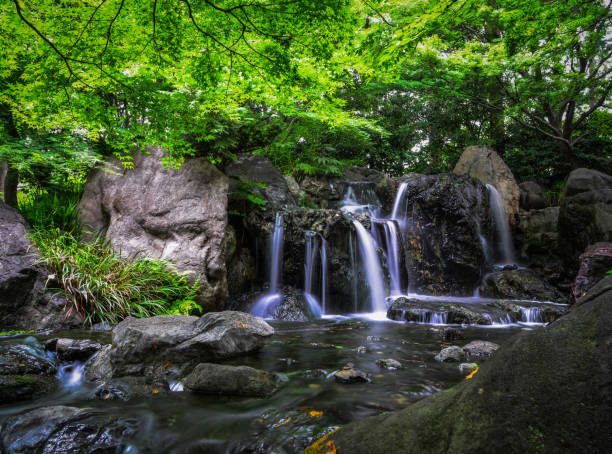 istock Small stream at botanic garden 1513512133