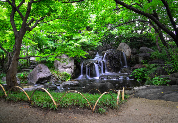 istock Small stream at botanic garden 1513512281