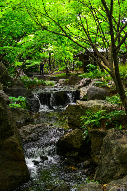 istock Small stream at botanic garden 1513512688
