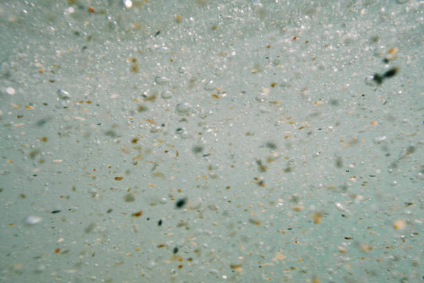 istock Under the sea after a wave has passed, sand bubbles swirling around. Cornwall. 1513519866