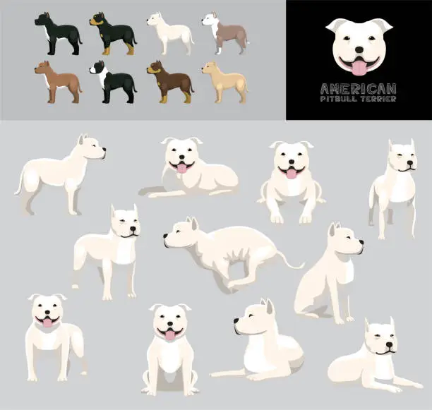 Vector illustration of Dog American Pit Bull Terrier Cartoon Vector Illustration Color Variation Set White Coat