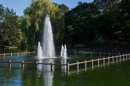 fountain in Warsaw  Łazienki Park