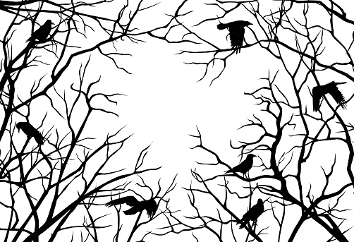 Vector illustration with silhouettes of crooked branches and flying crows with copy space in the middle on white background