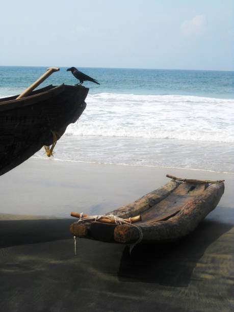 Makeshift Canoe next to a Boat with a Raven Perched on it at Kovalum beach