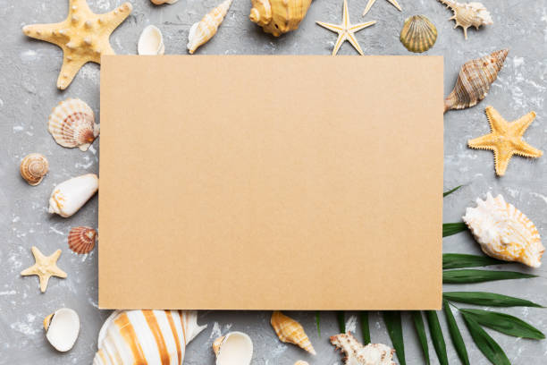 istock Summer time concept with blank greeting card and blank craft paper on colored background. Seashells from ocean shore in the shape of frame separated with space for text top view 1513620788