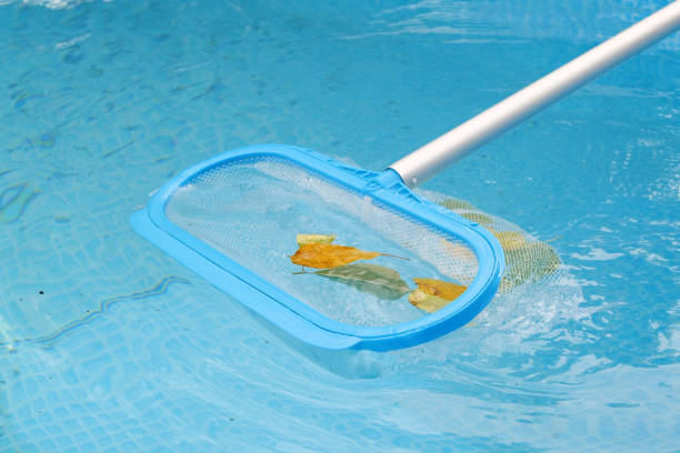 istock Cleaning a swimming pool with a mesh skimmer . The long net cleans colored leaves off surface of the water 1513621913