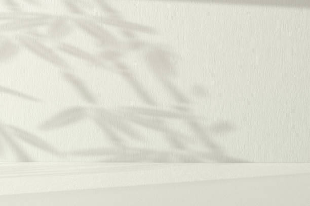 istock Sunlight from the window with leaves shadow on the wall for product presentation 1513635695