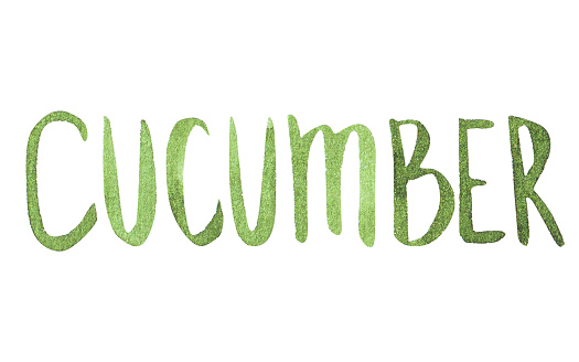Watercolor Cucumber Lettering sketch isloated on white