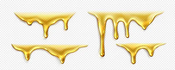 Vector illustration of Dripping liquid honey, gold oil or syrup drops