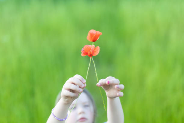 Only One Young Girl with Poppies. Grass in Background. Poland.
