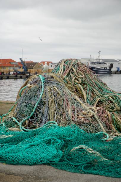Free fishing net Photos & Pictures