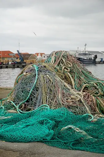 100+ Fishing Net Pictures  Download Free Images on Unsplash