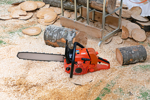 Petrol Power Chainsaw Cutting Wood Logs Lumberjack Equipment in Sawdust