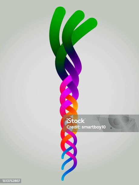 Braided Thread Icon Thread Or Braid Pattern Stock Illustration - Download Image Now ...