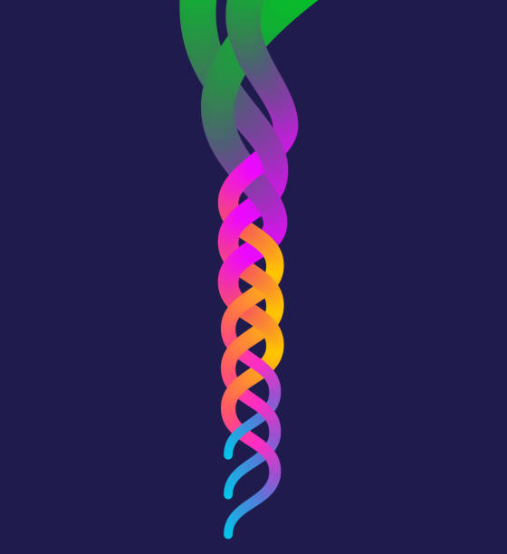Braided Thread Icon 110+ Silhouette Of Braided Rope Stock Illustrations, Royalty-Free ...