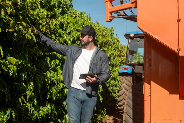 istock Man in a coffee plantation 1513764574