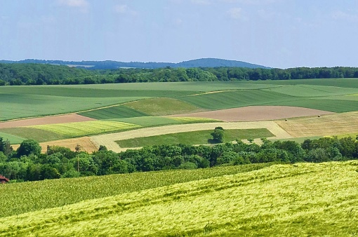 Peaceful fields and meadows in the Eifel mountains