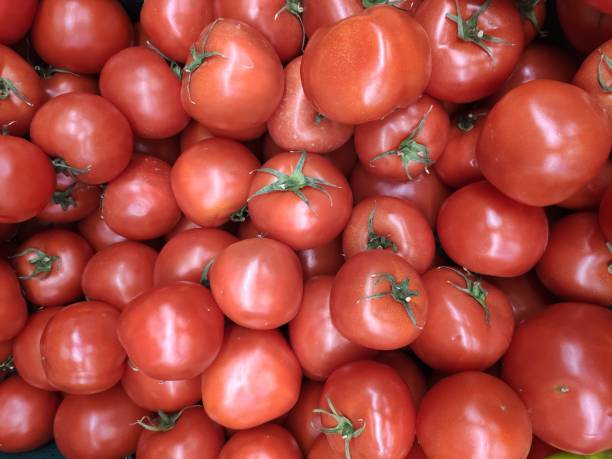 istock pile of fresh red tomatoes 1513796341