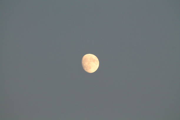 istock The moon glows in the evening sky 1513815329