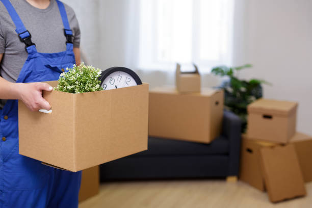 istock Moving day concept - close up of loader in room holding a box with copy space 1513831542