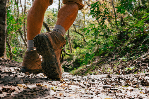 Low angle photo of a hiker in motion. Close up of hiking boots in motion on a hiking trail in the forest.
