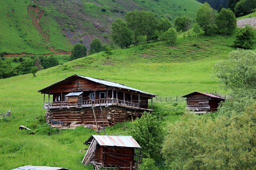 Rural landscape from Ardanuç (Artvin, Türkiye)