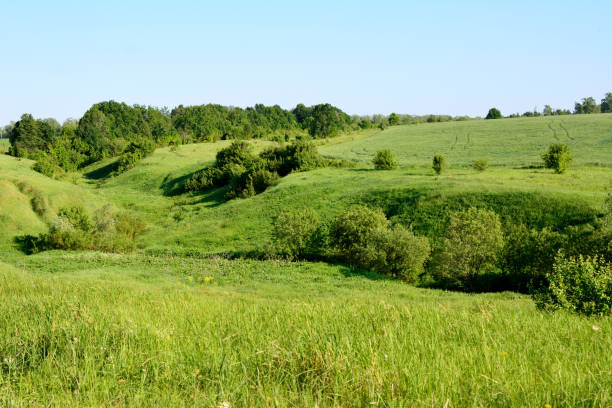 istock green valley with hills and green trees and clear blue sky, copy space 1513974323