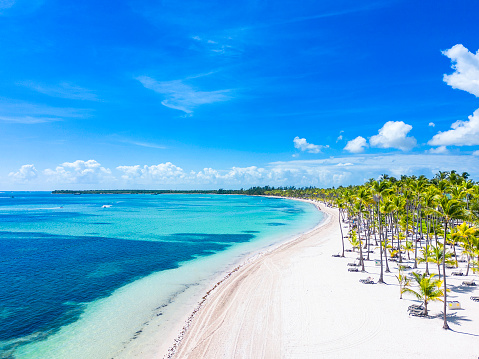 Aerial view of beautiful Bavaro beach with white sand and palm trees. Turquoise water and blue sky. Summer vacation in the all inclusive resort and hotel of Punta Cana. High quality photo