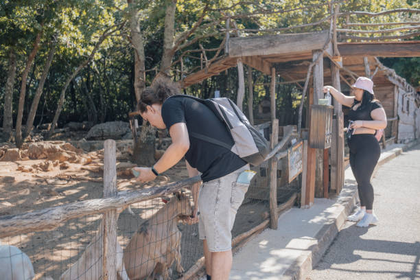 istock So much fun at the Mini ZOO 1514069297