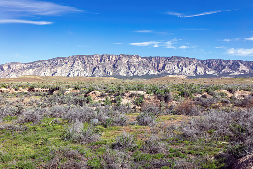 Colorado arid desert landscape with Blue Mountain and blue sky in the background with sagebrush in the foreground.