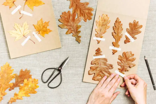 Autumn herbarium flat lay with human hands sticking leaves writing name on craft paper cards. Top view table with pressed dried leaves from various trees, creative hobby, decor with natural materials