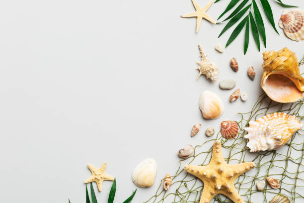 istock Summer time concept Flat lay composition with beautiful starfish and sea shells on colored table, top view with copy space for text 1514133506