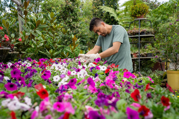 istock Happy gardener working at a plant nursery 1514147190