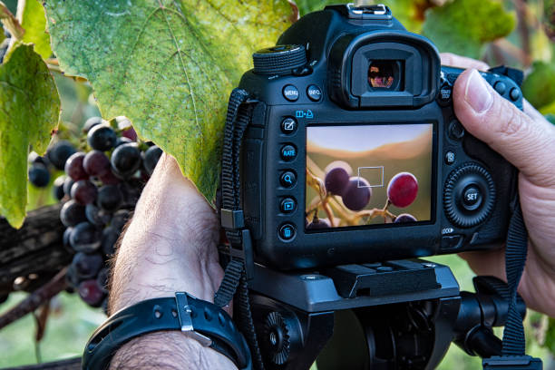 istock Photographic workshop scene in a vineyard 1514163384