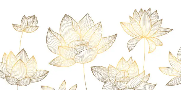 Vector illustration of Vector luxury golden pattern, lotus illustration, hand drawn florals for packaging, social media post, cover, banner, creative post and wall arts. Gold and white.