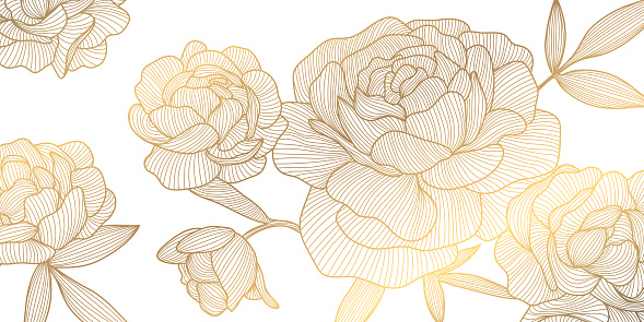 Vector flower golden pattern, roses line japanese style illustration. Luxury hand drawn florals for packaging, social media post, cover, banner, creative post and wall arts. Gold and white
