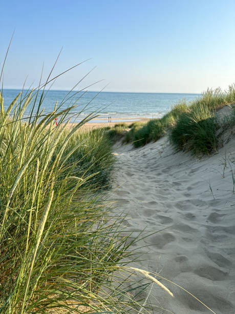 istock Sand dunes and sea grass tussocks. 1514191062