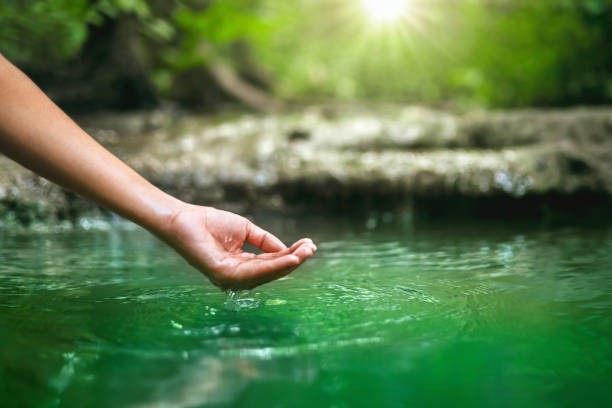 hand touches water in the pond