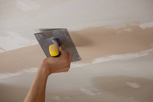 istock the master plasters the walls and ceiling. 1514234229