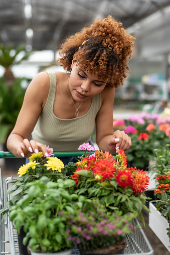 Afro woman looks products while shopping for flowers and plants at a nursery