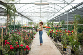 Woman in garden store chooses pots and pots for her roses, ful portrait in flower nursery