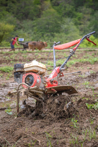 istock Rustic old farm tractor in rice paddy field 1514260535