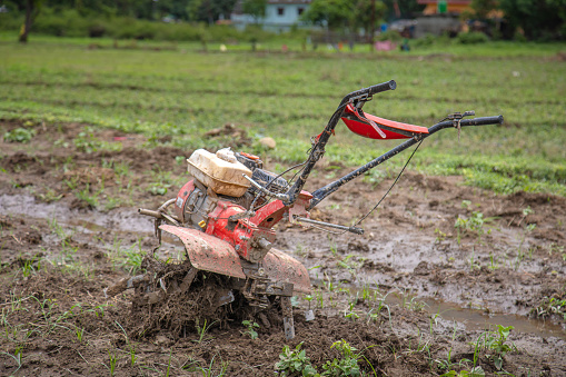 Agricultural Machinery Two Wheel Hand Tractor In The Muddy Water Rice Fields