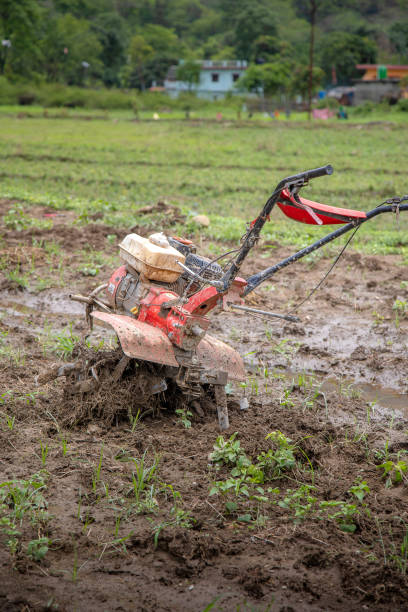 istock Hand tractor in rice paddy field 1514262203